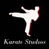 KarateStudios's picture